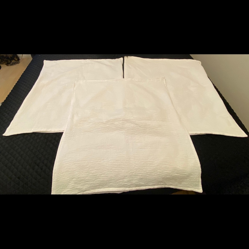 West Elm Euro Cotton Shams